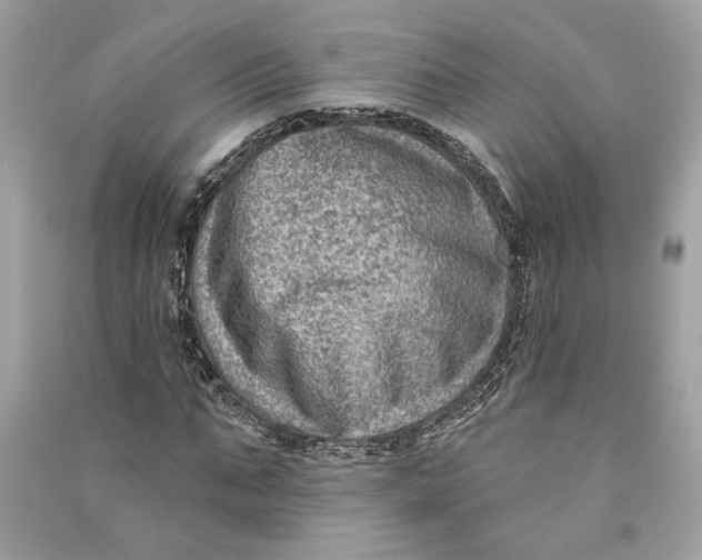 X0000090730871200708101637