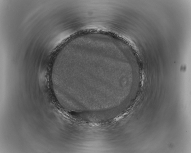 X0000090730872200708101637