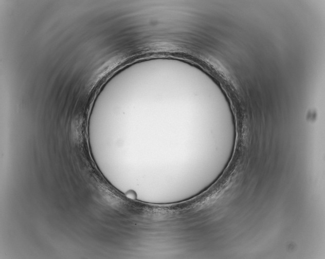 X0000090730873200708101637