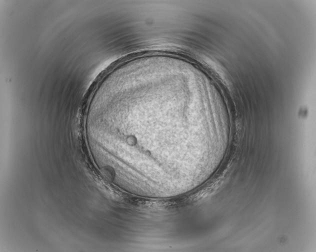 X0000090730875200708101637