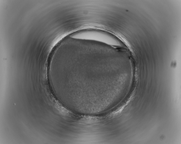 X0000090730877200708101637