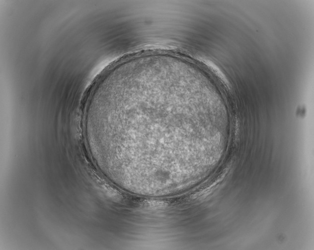 X0000090730878200708101637