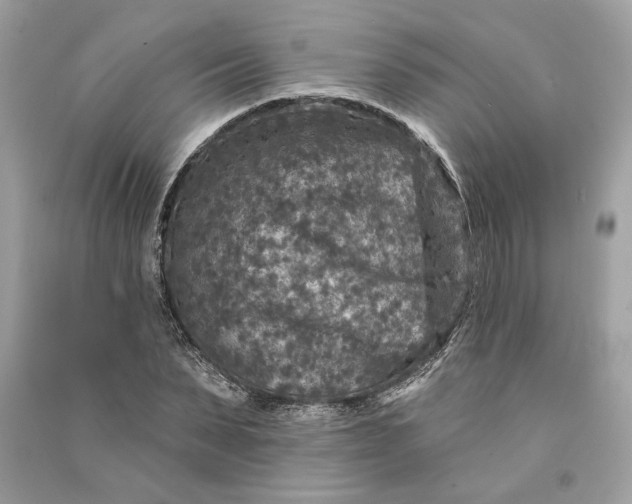 X0000090730879200708101637