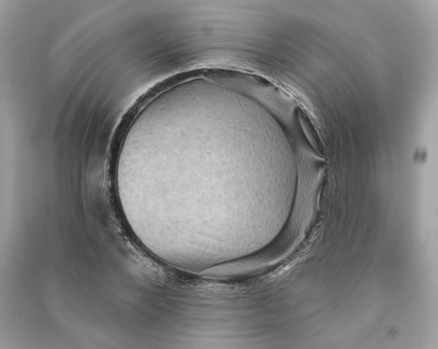 X0000090730880200708101637