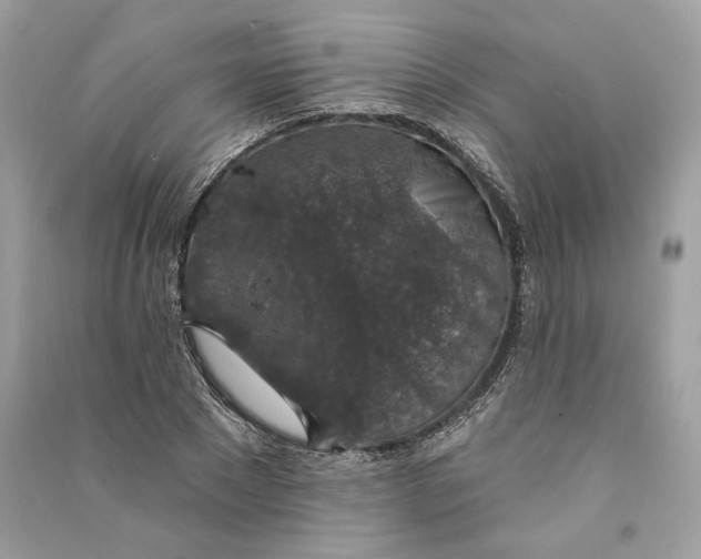 X0000090730881200708101637