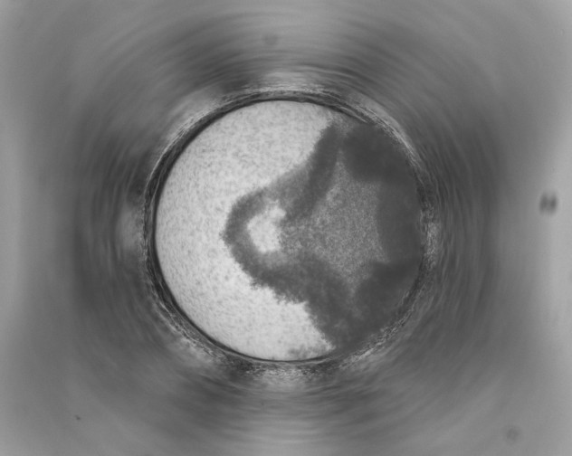 X0000090730882200708101637