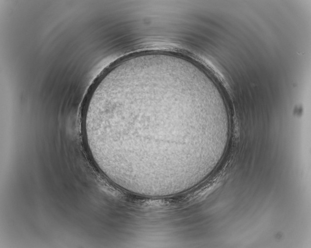 X0000090730883200708101637