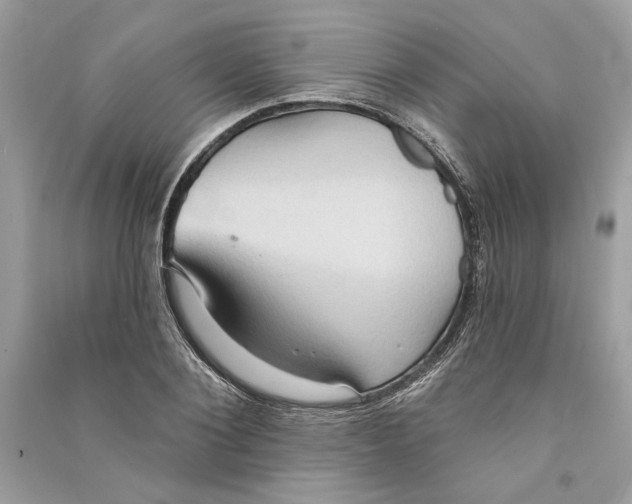 X0000090730884200708101637