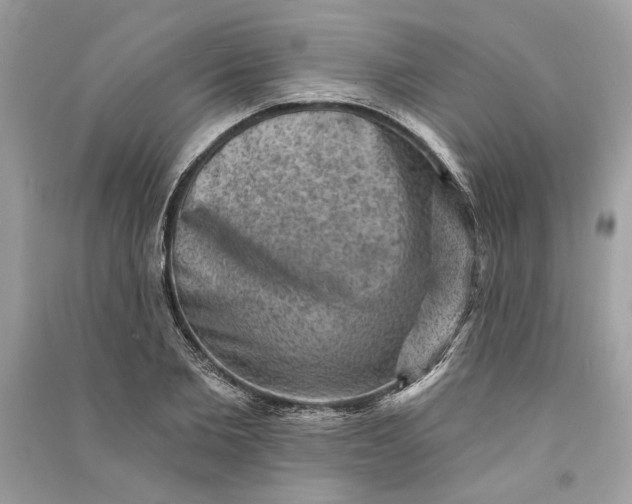 X0000090730885200708101637