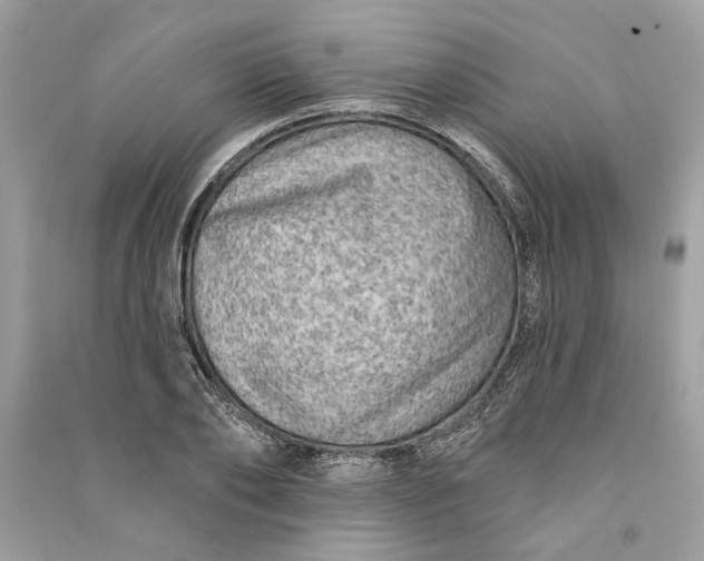 X0000090730886200708101637