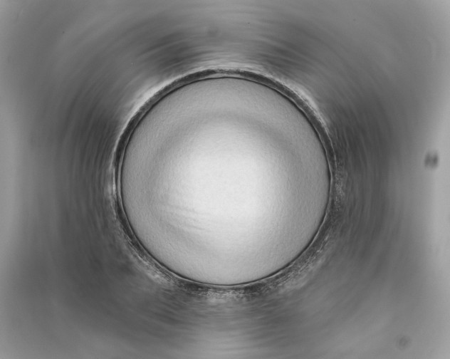 X0000090730887200708101637