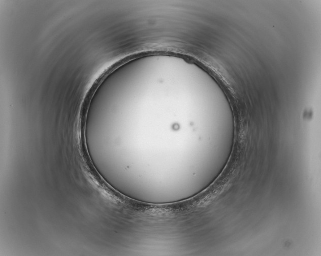 X0000090730888200708101637