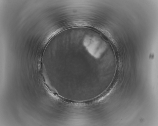 X0000090730889200708101637