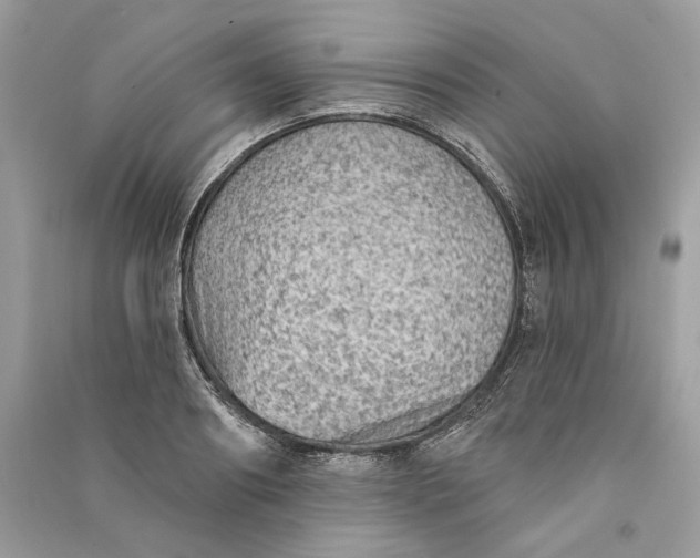 X0000090730890200708101637