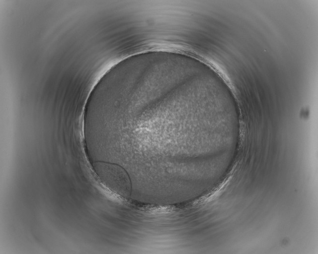 X0000090730891200708101637