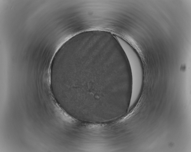 X0000090730892200708101637