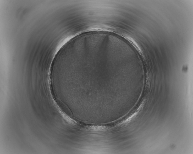 X0000090730893200708101637