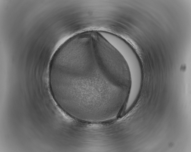 X0000090730894200708101637