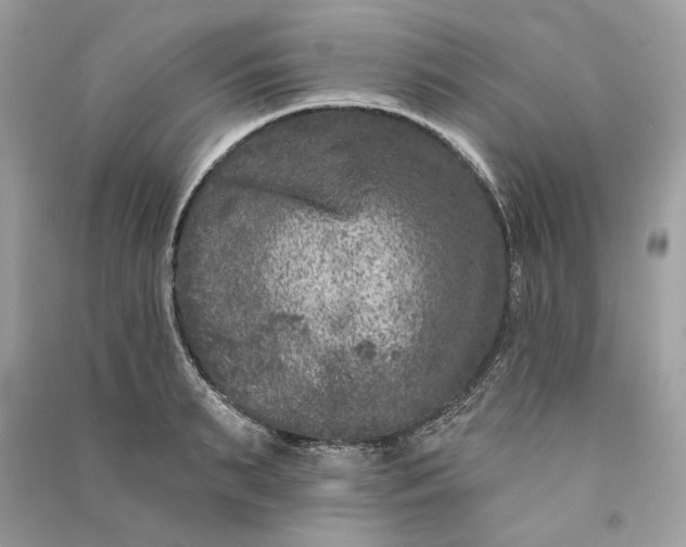 X0000090730895200708101637