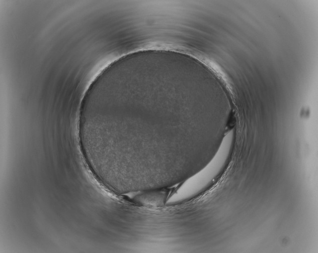 X0000090730896200708101637