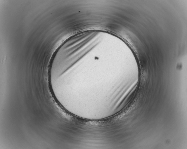 X0000090730898200708101637