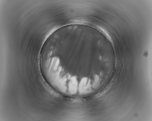 X0000090730899200708101636