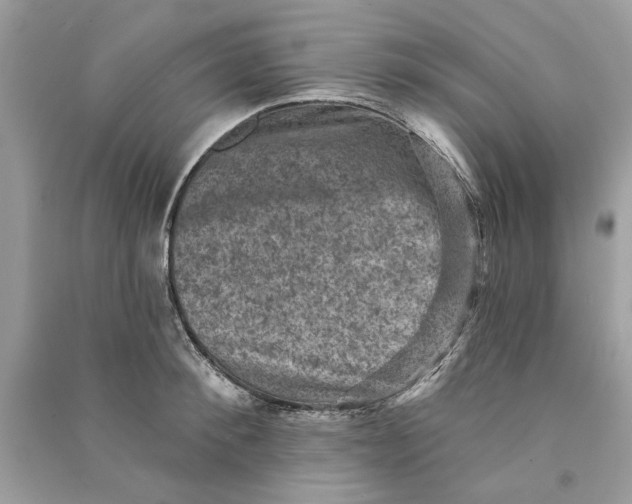 X0000090730900200708101636