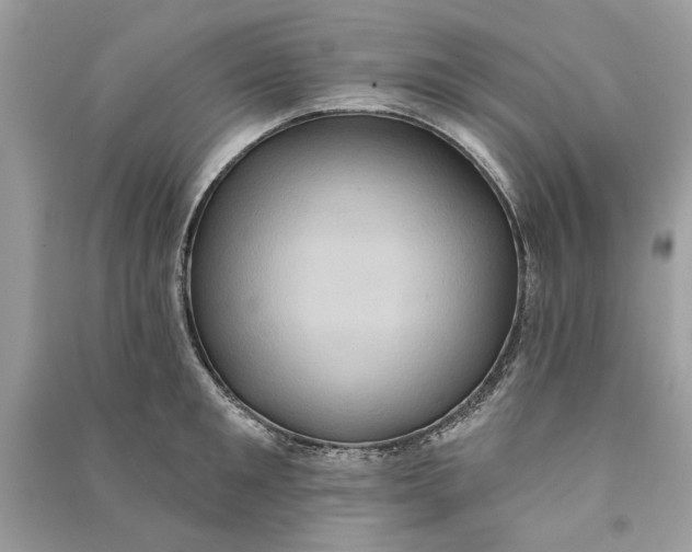 X0000090730901200708101636