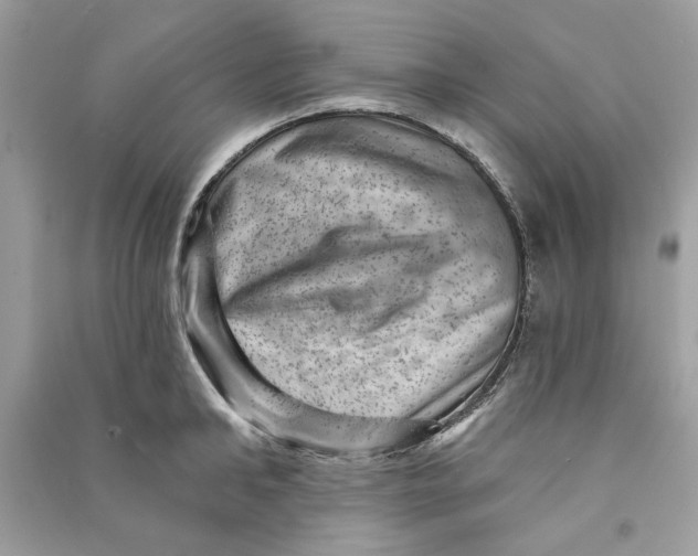 X0000090730902200708101636