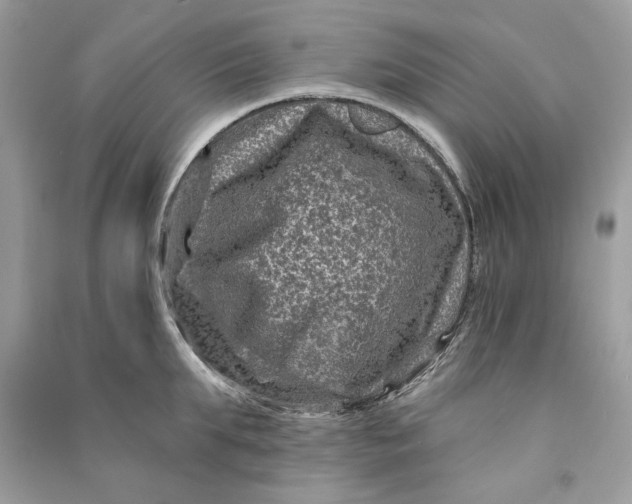 X0000090730903200708101636