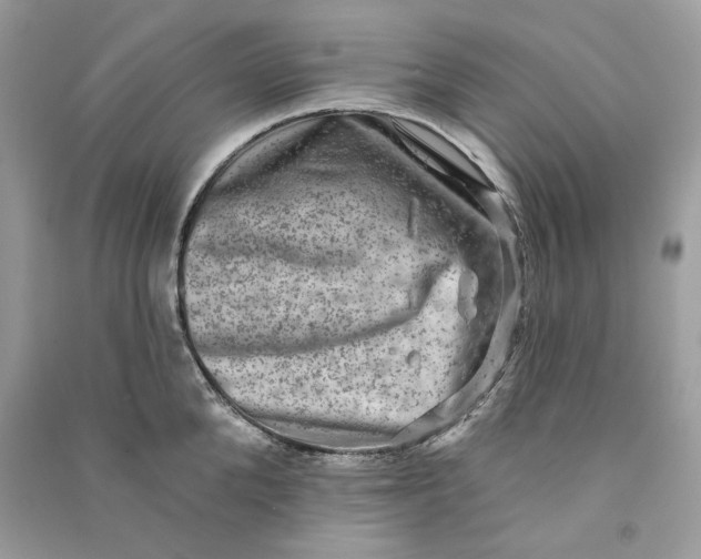 X0000090730904200708101636