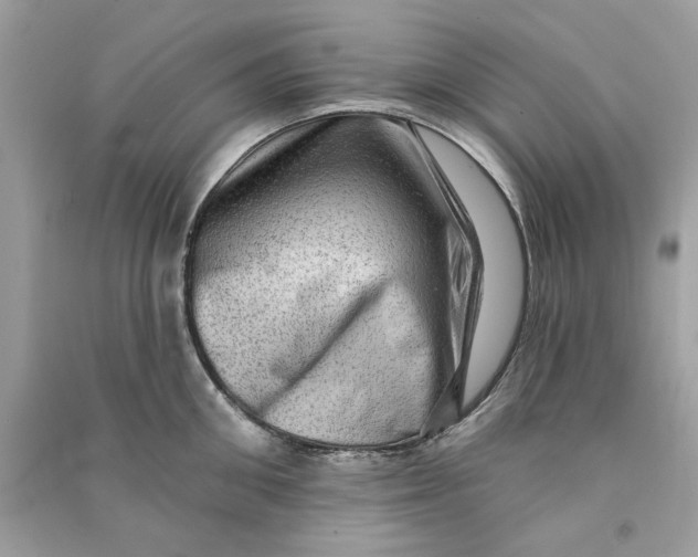 X0000090730906200708101636