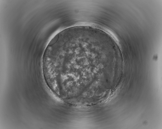 X0000090730907200708101636