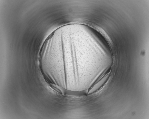 X0000090730908200708101636