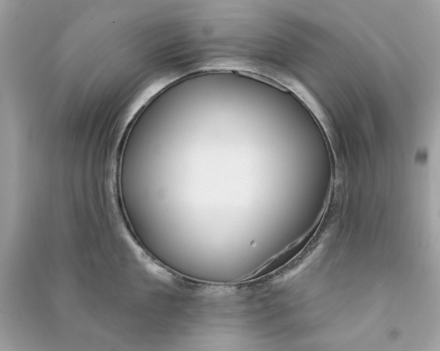 X0000090730909200708101636