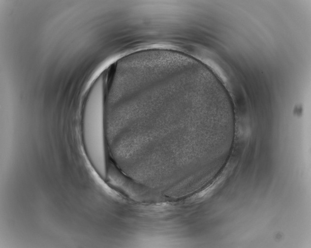 X0000090730910200708101636