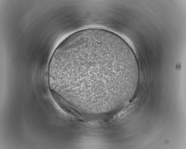 X0000090730911200708101636