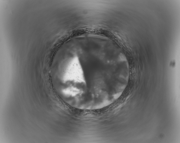 X0000090730913200708101636