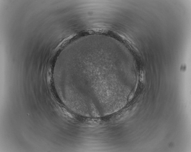 X0000090730915200708101636