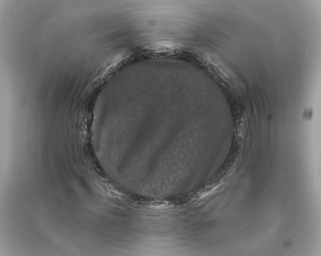 X0000090730916200708101636