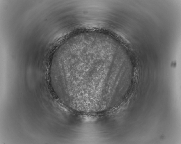 X0000090730917200708101636