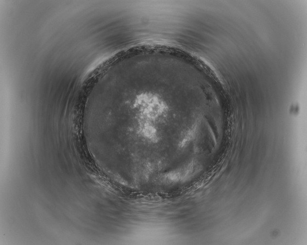 X0000090730919200708101636