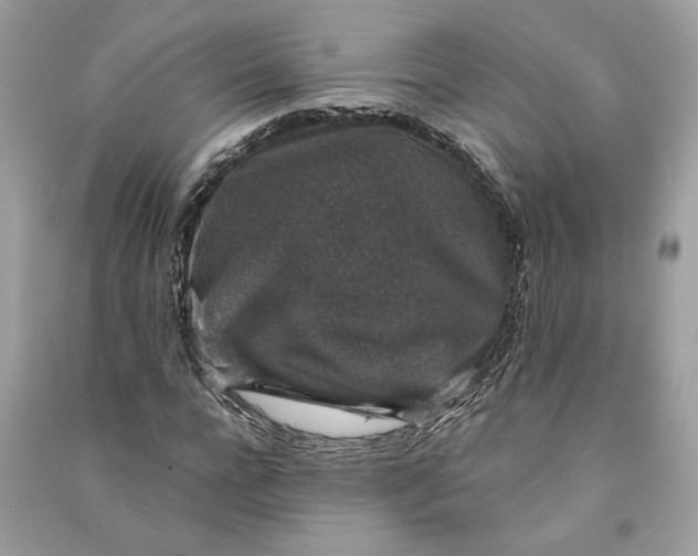 X0000090730920200708101636