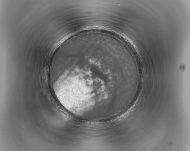 X0000090730921200708101636