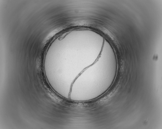 X0000090730922200708101636