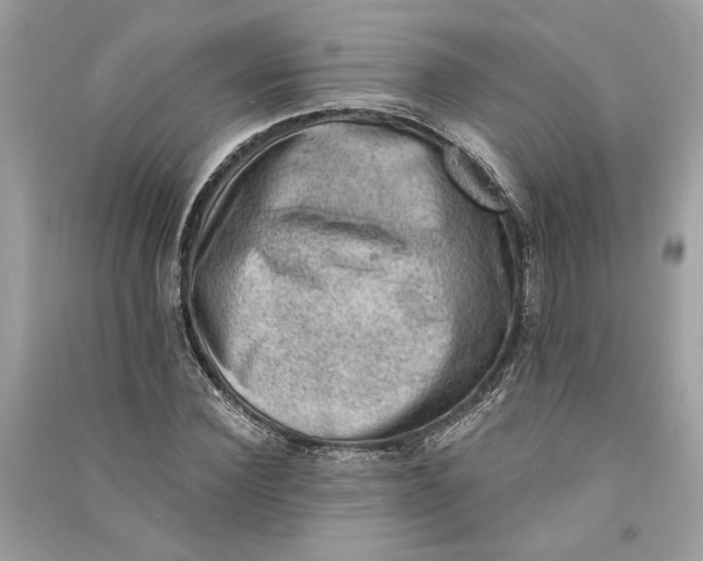 X0000090730924200708101636