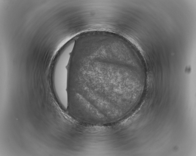 X0000090730925200708101636