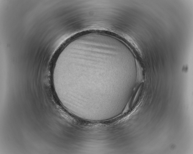 X0000090730926200708101636