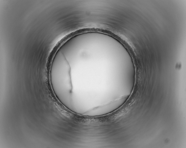 X0000090730927200708101636