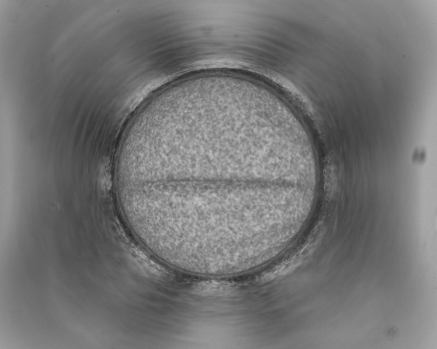 X0000090730929200708101636